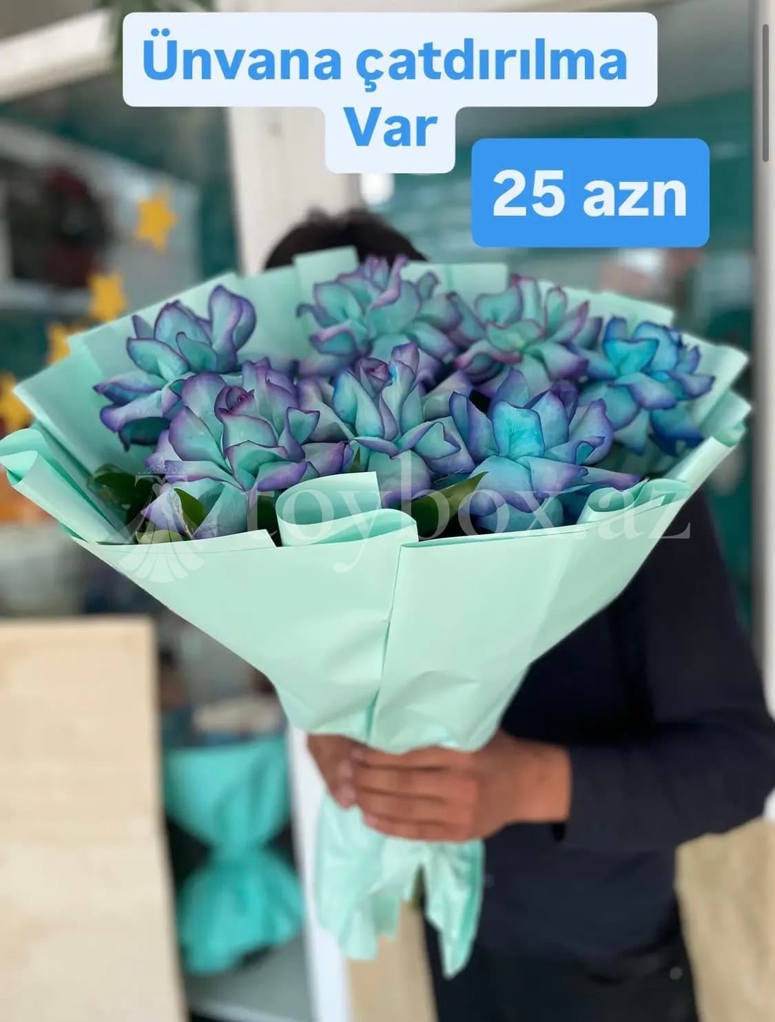 Rosse Berry Zabrat