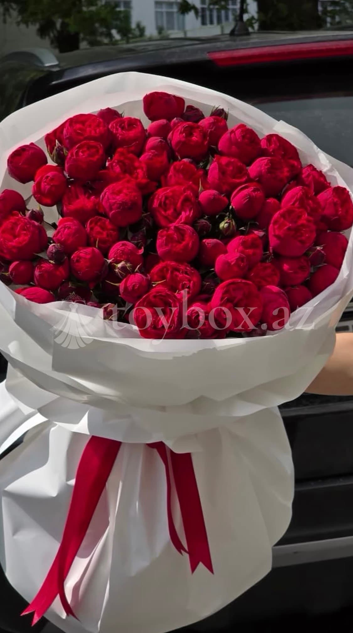 Qəbələ Gül Buketləri