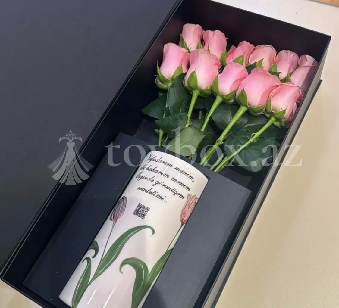 Havini Luxury