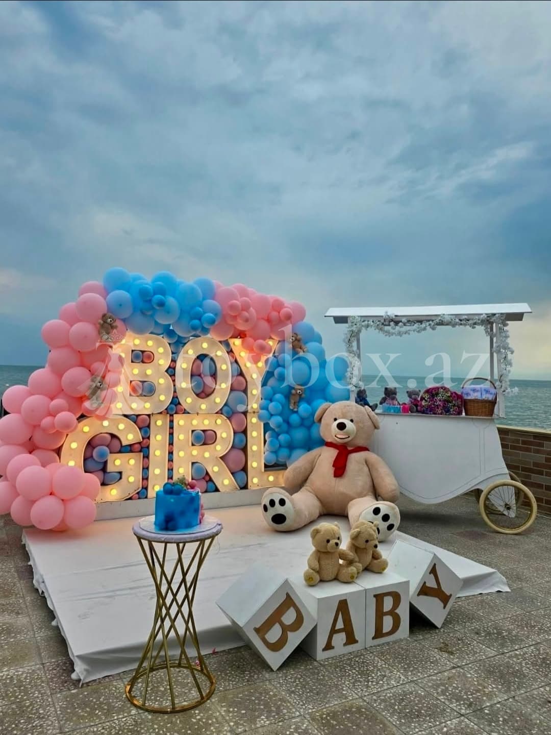 Cinsiyyət Party Gender