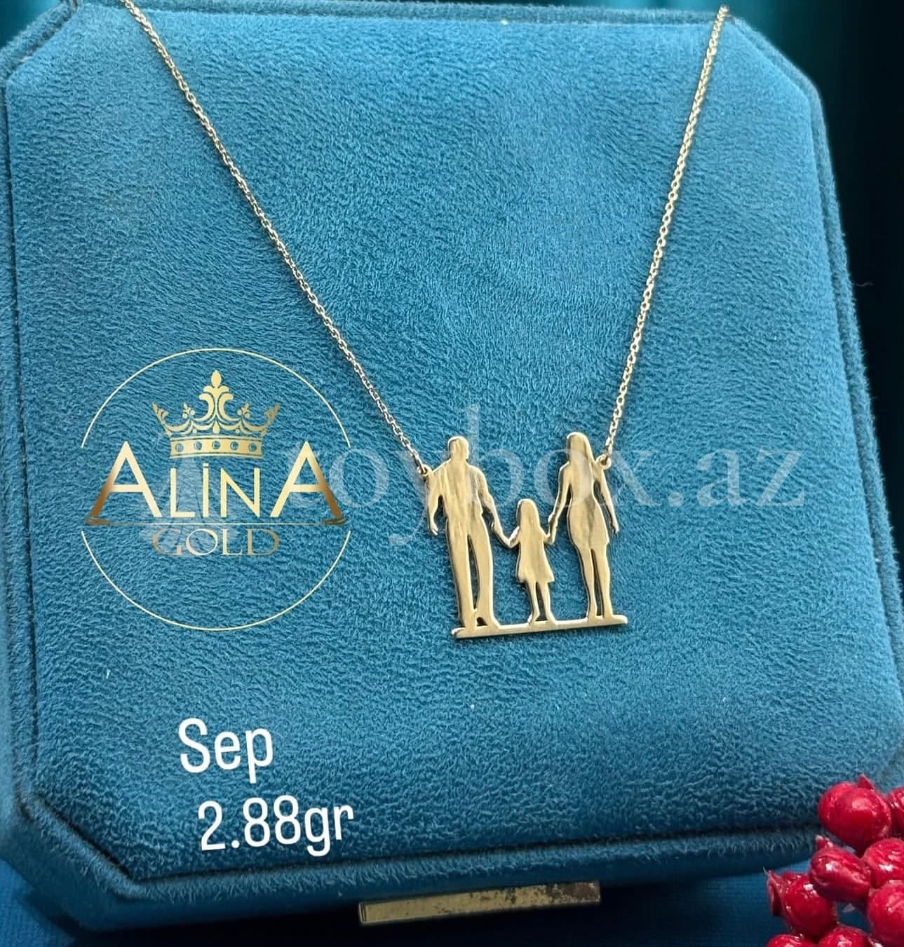 Qızıl Satışı Alina Gold