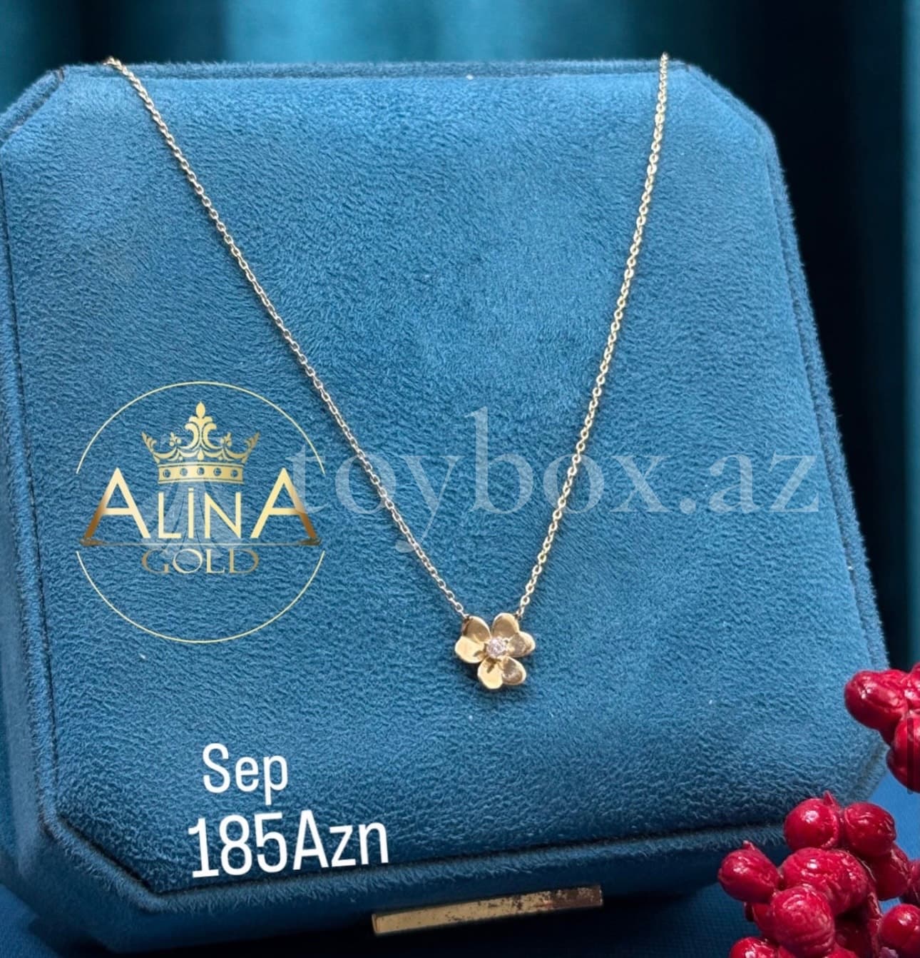 Qızıl Satışı Alina Gold