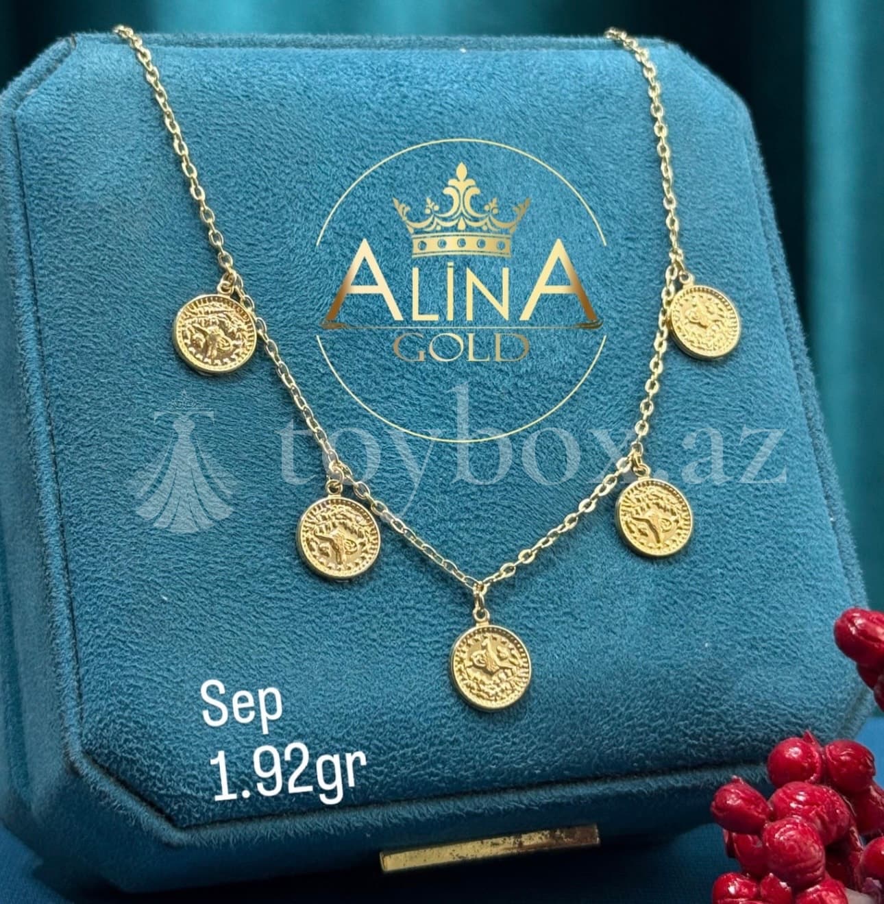 Qızıl Satışı Alina Gold