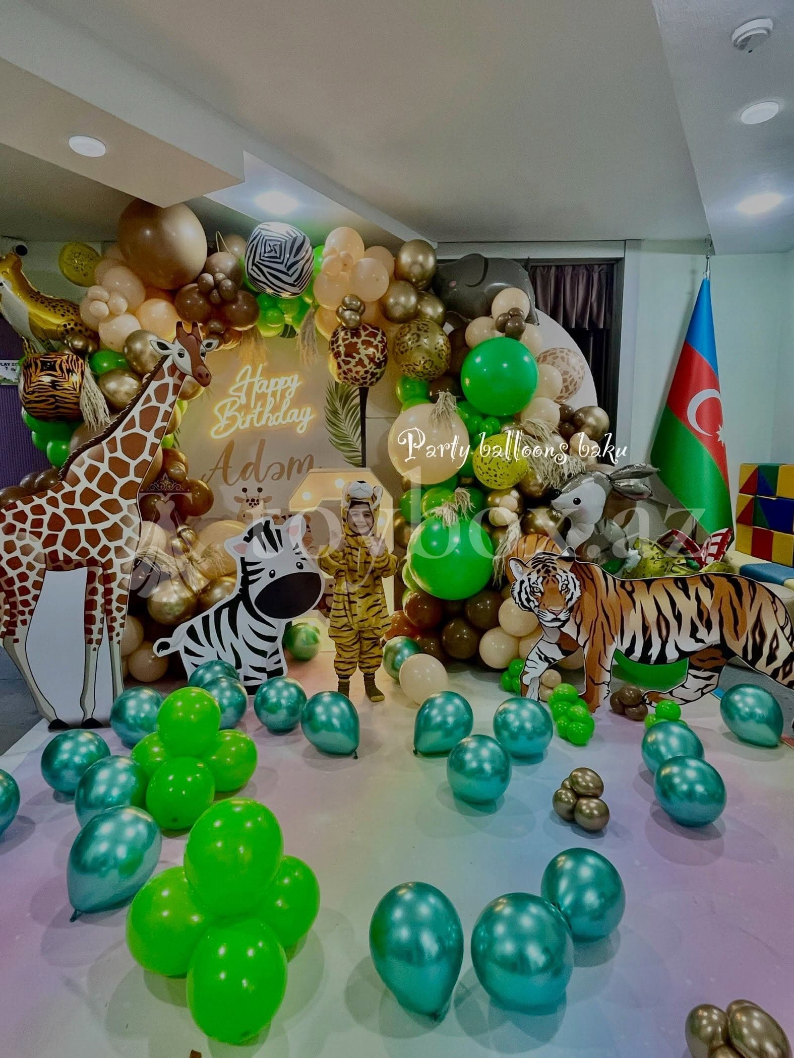 Party Balloons Baku