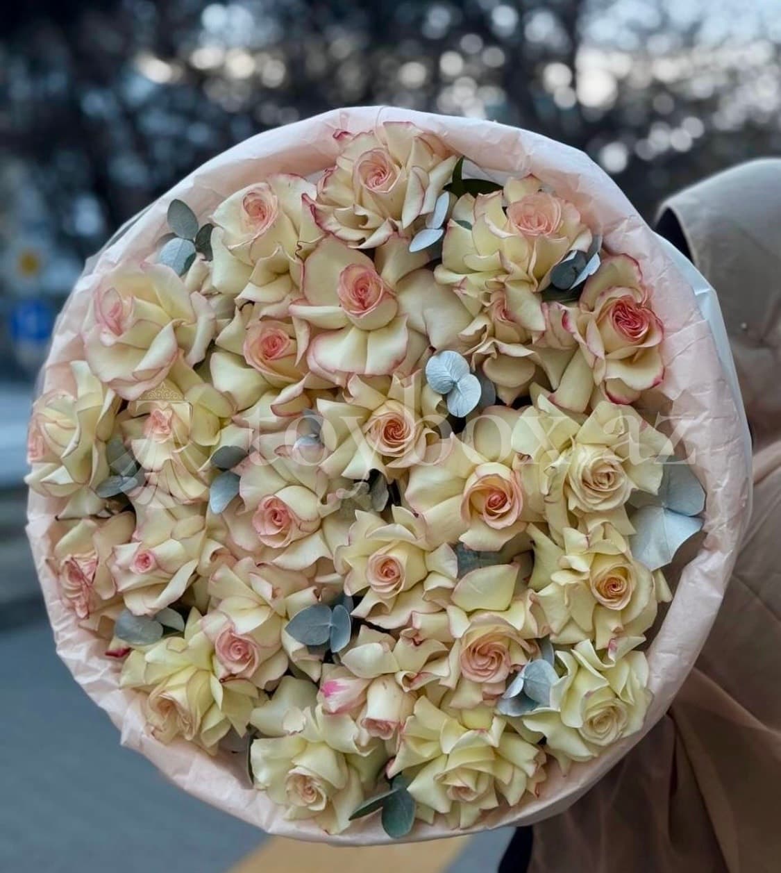 Amina Flowers.Az