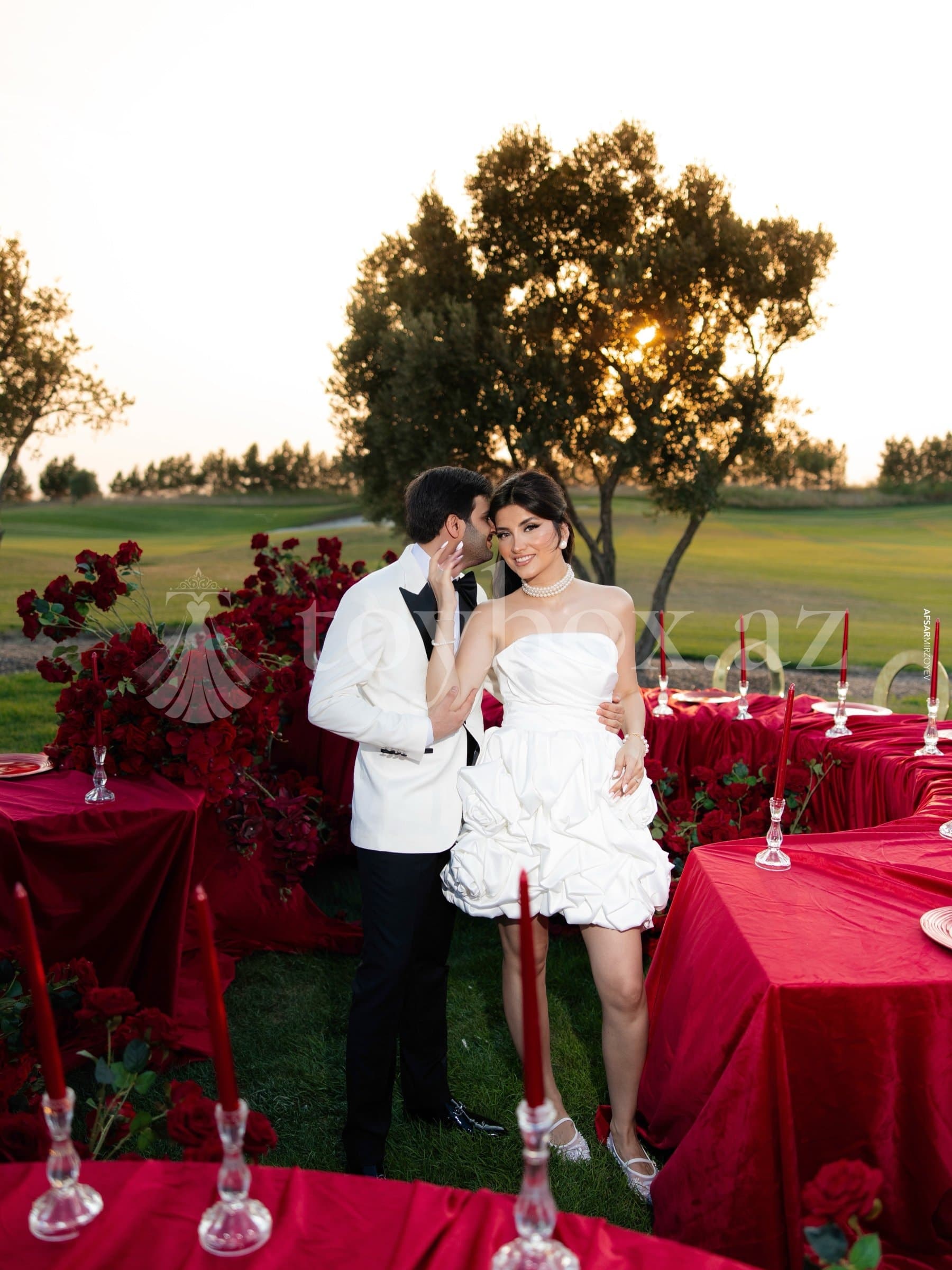 Carousel Wedding Party