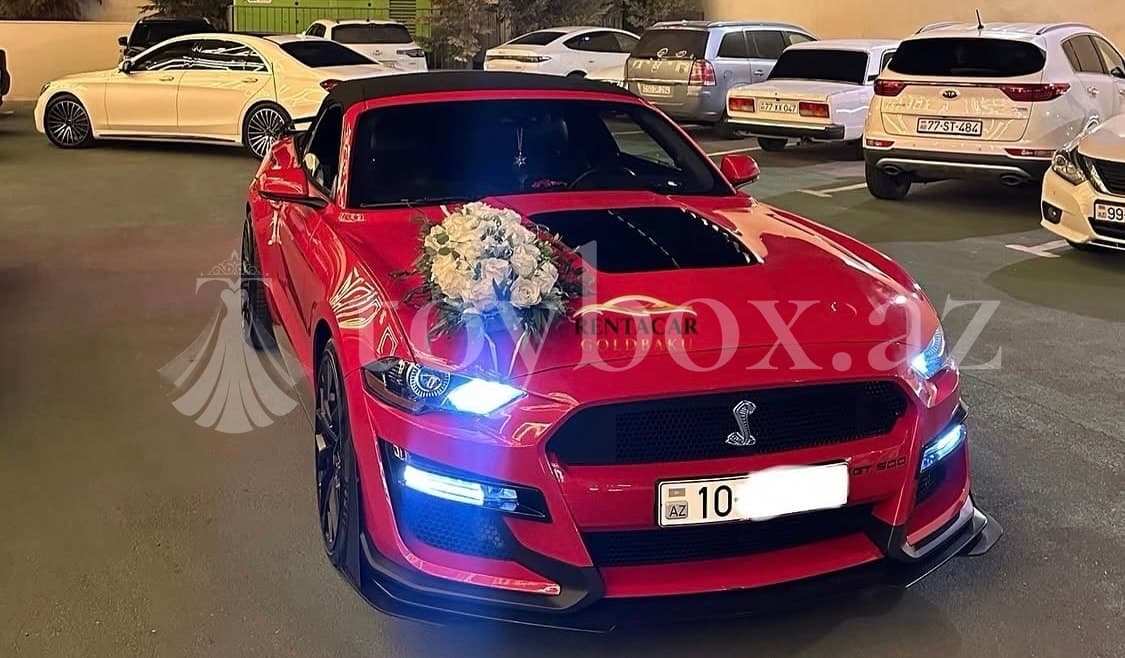 Rentacar Gold Baku