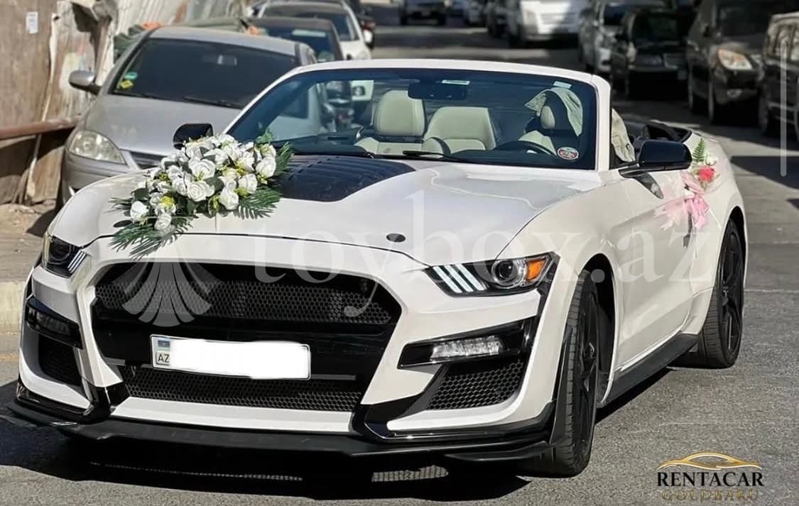 Rentacar Gold Baku