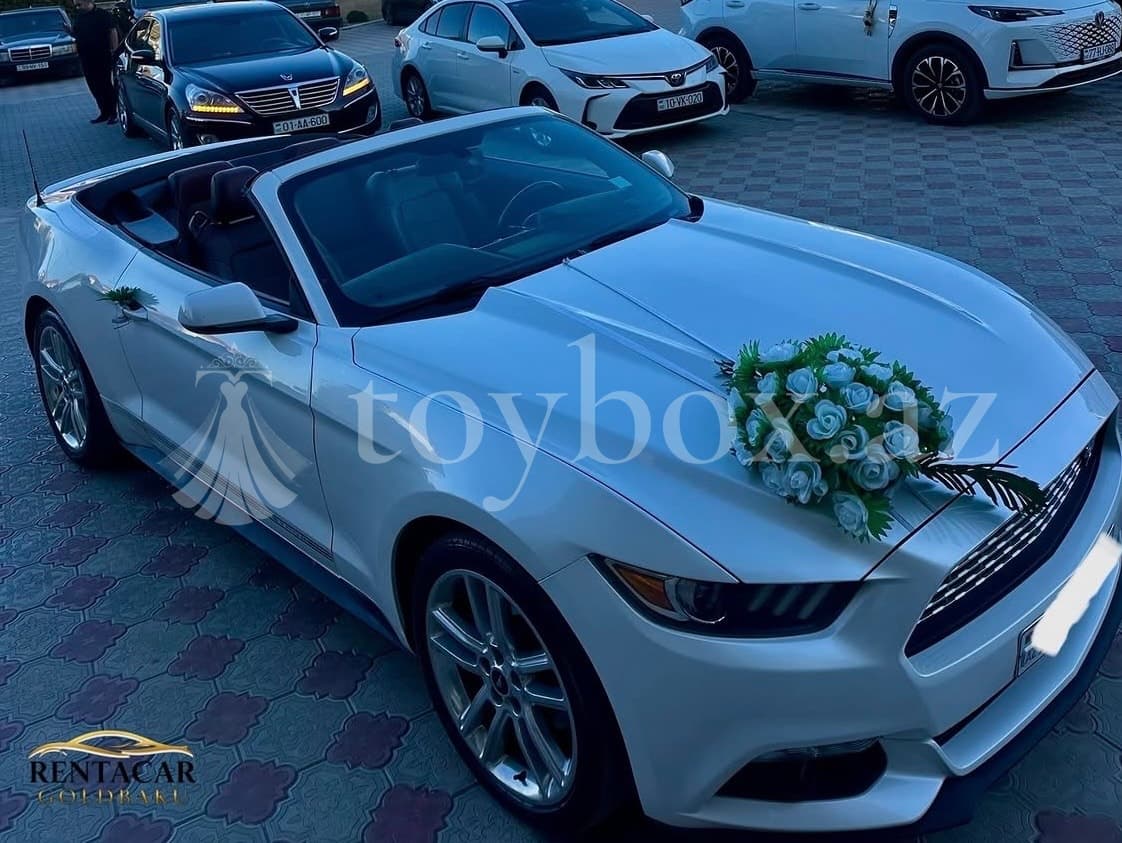 Rentacar Gold Baku