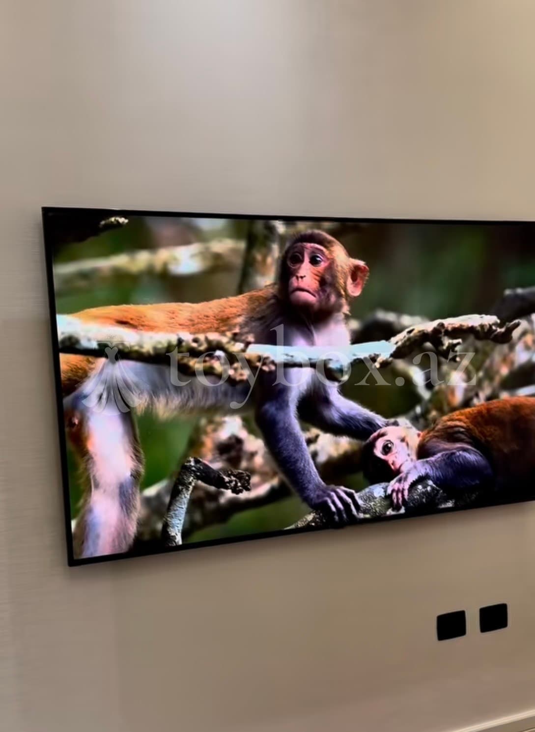 LG Electronica Absheron