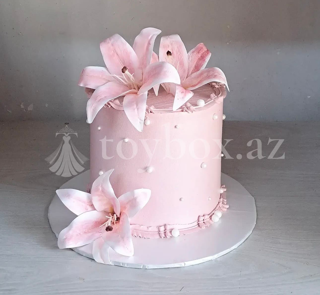 Tort Evi Naxçıvan