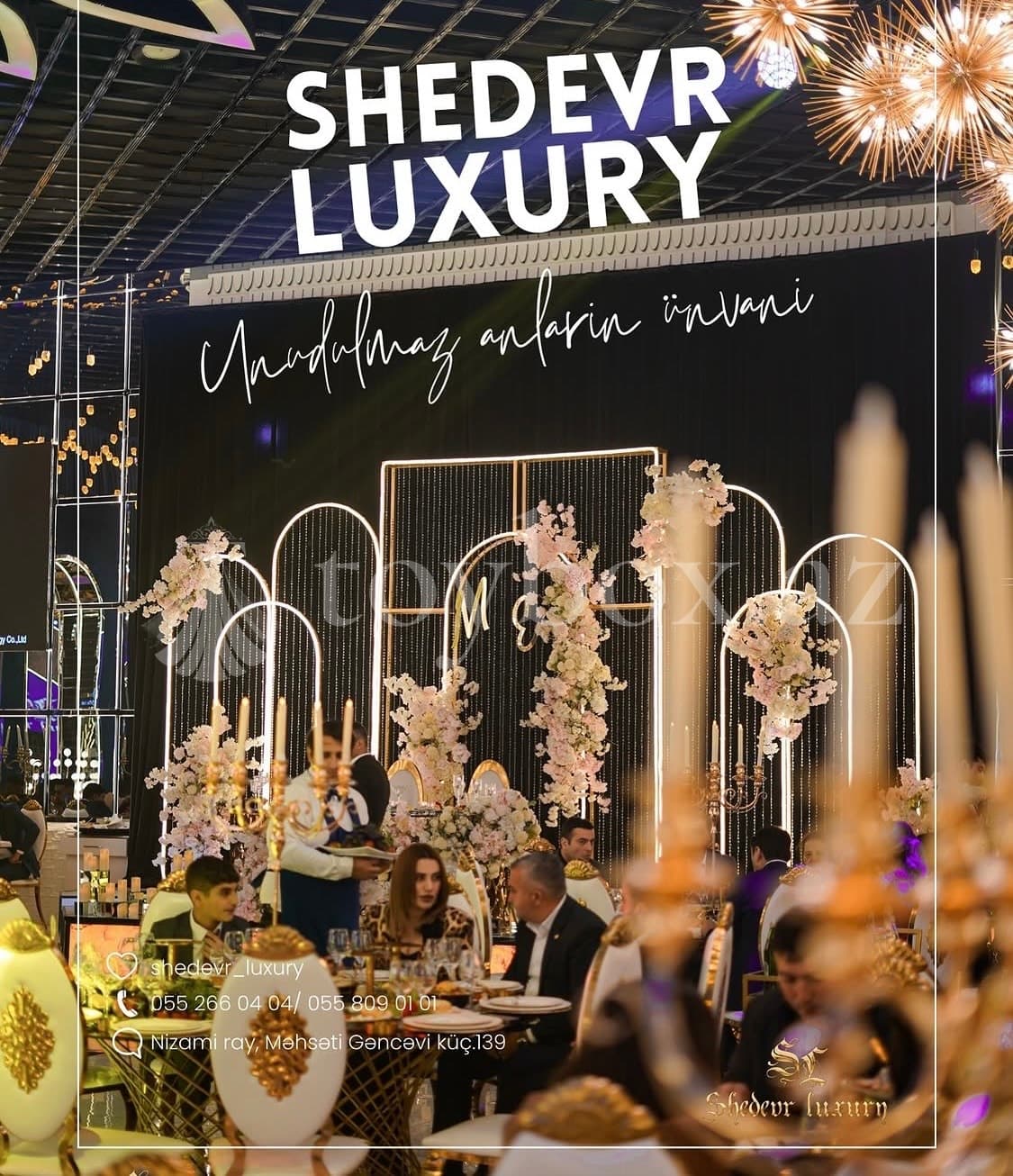 Shedevr Luxury