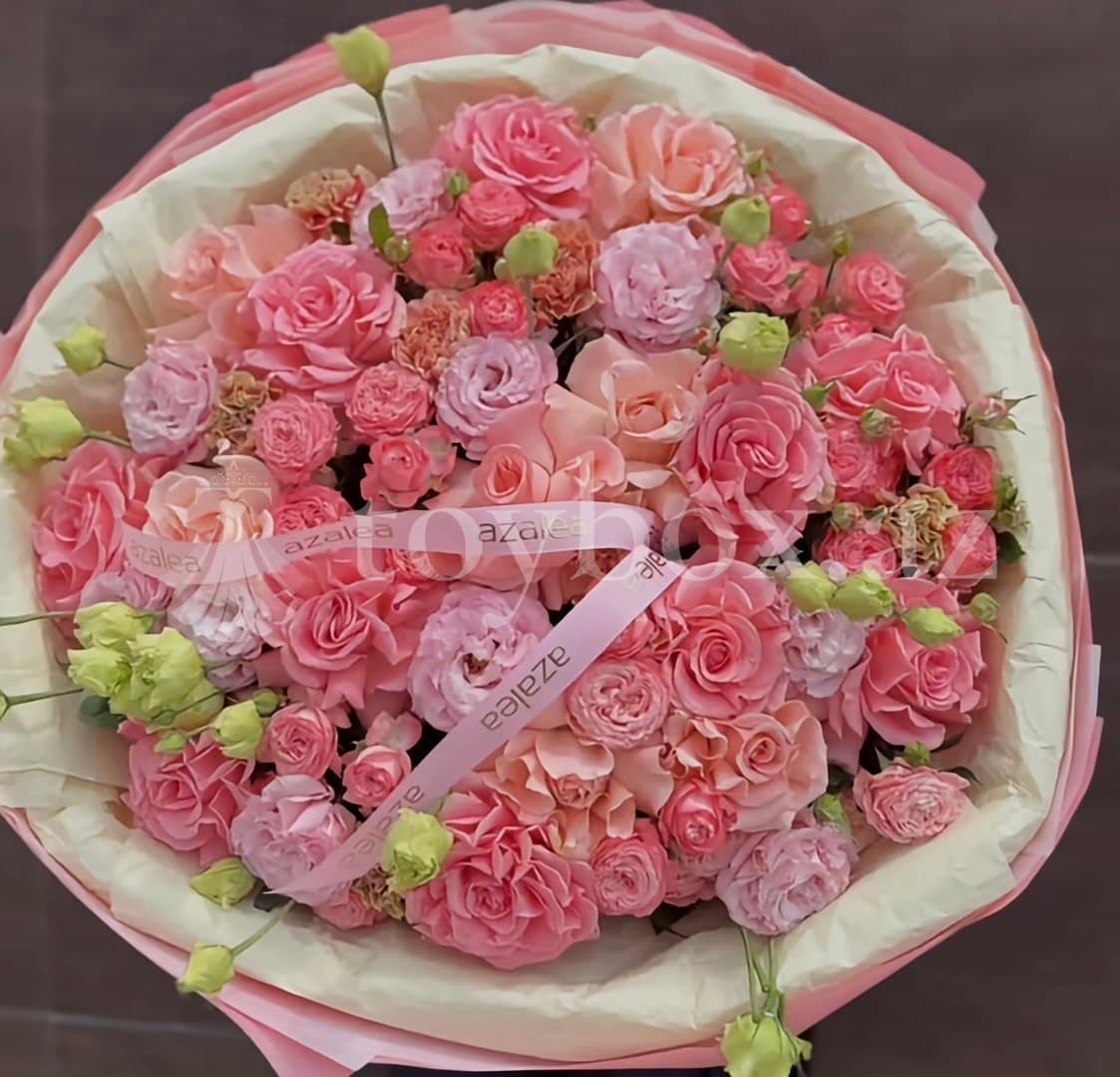 Azalea Flowers Baku