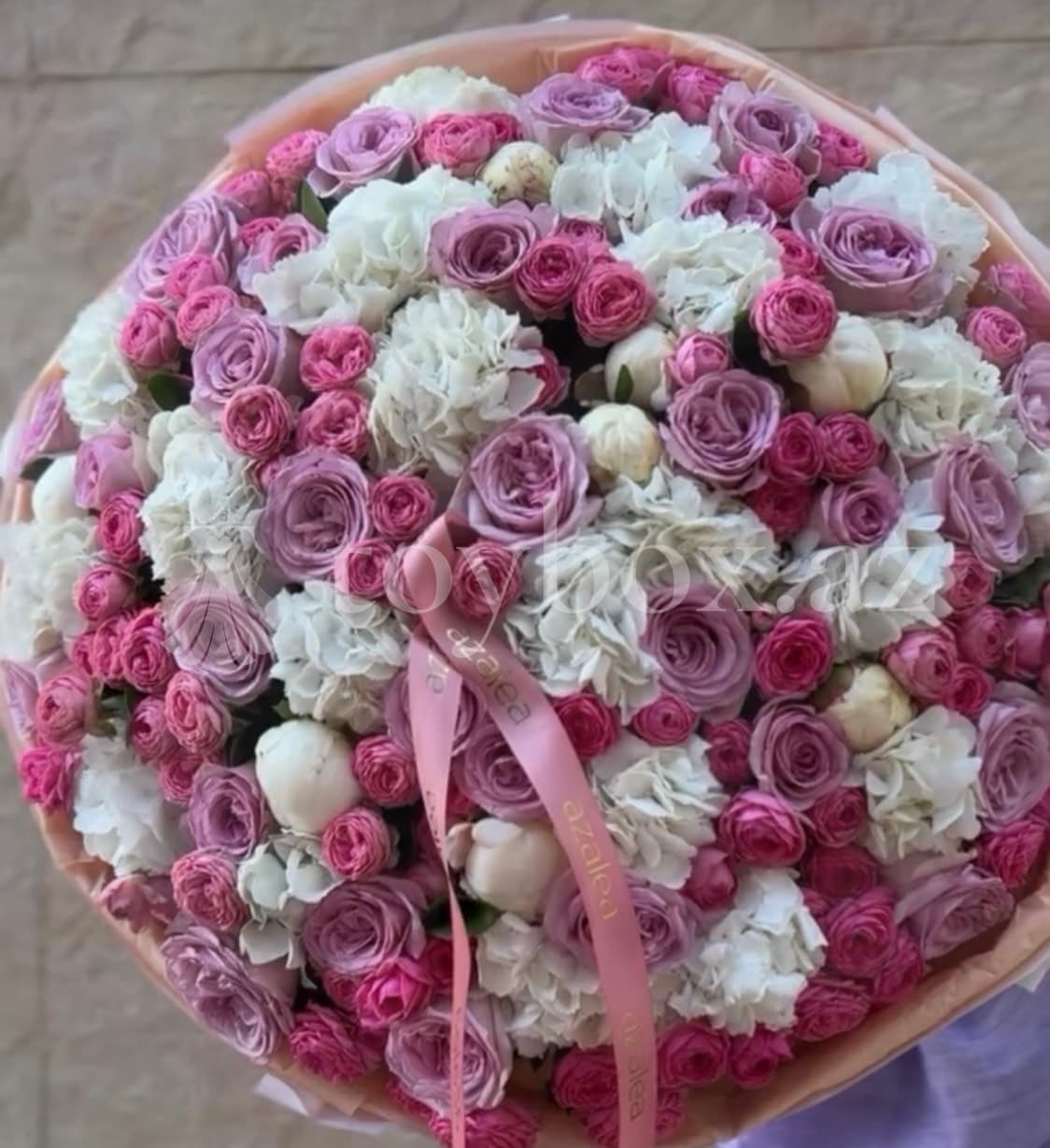 Azalea Flowers Baku