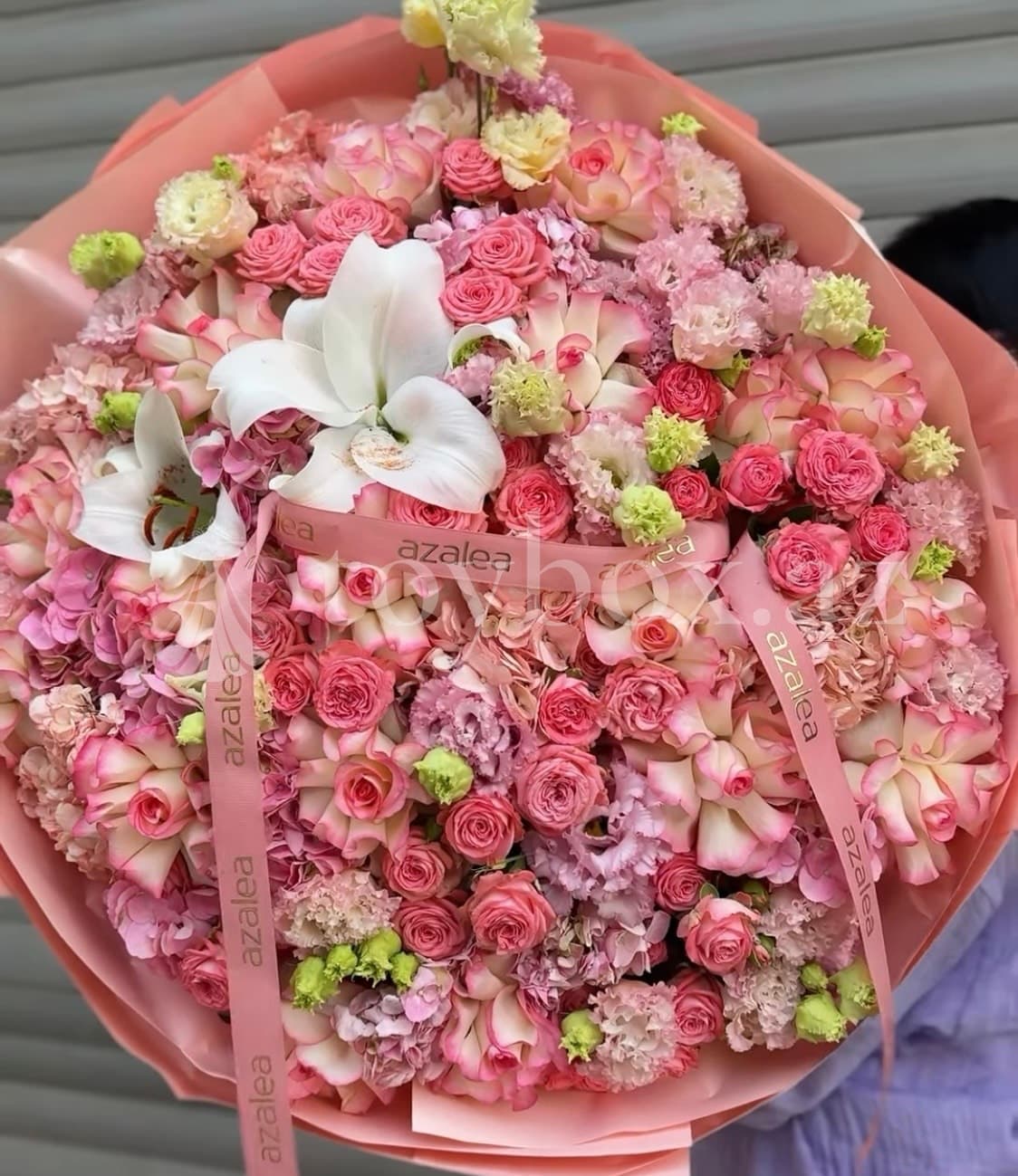 Azalea Flowers Baku