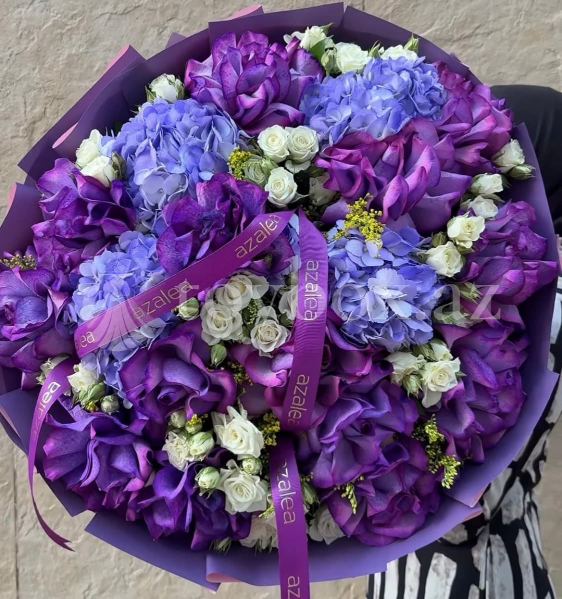 Azalea Flowers Baku