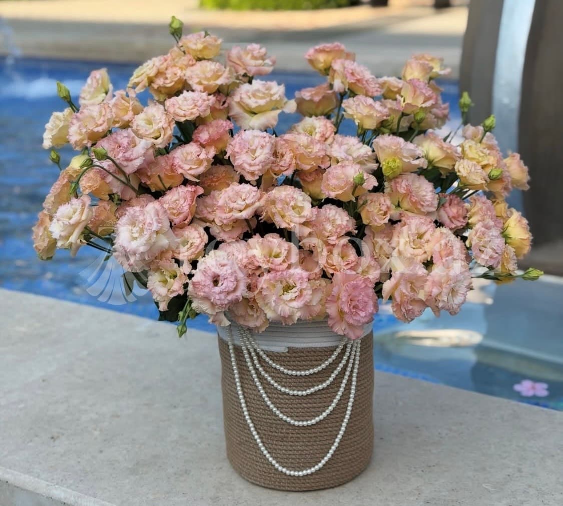 La Rosee Luxury